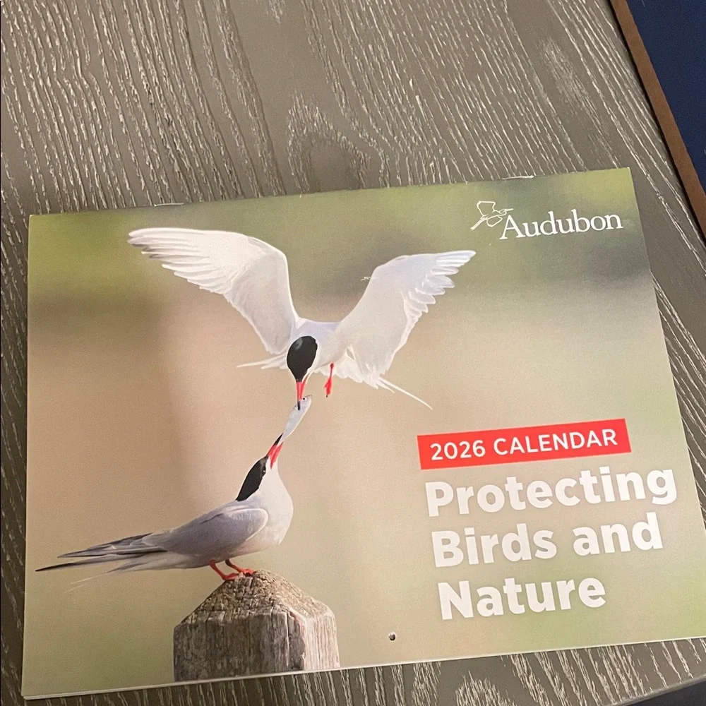 2026 Calendar - Protecting Birds and Nature